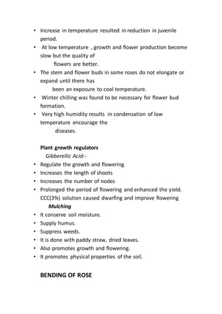 • Increase in temperature resulted in reduction in juvenile
period.
• At low temperature , growth and flower production become
slow but the quality of
flowers are better.
• The stem and flower buds in some roses do not elongate or
expand until there has
been an exposure to cool temperature.
• Winter chilling was found to be necessary for flower bud
formation.
• Very high humidity results in condensation of low
temperature encourage the
diseases.
Plant growth regulators
Gibberellic Acid:-
• Regulate the growth and flowering
• Increases the length of shoots
• Increases the number of nodes
• Prolonged the period of flowering and enhanced the yield.
CCC(3%) solution caused dwarfing and improve flowering
Mulching
• It conserve soil moisture.
• Supply humus.
• Suppress weeds.
• It is done with paddy straw, dried leaves.
• Also promotes growth and flowering.
• It promotes physical properties of the soil.
BENDING OF ROSE
 