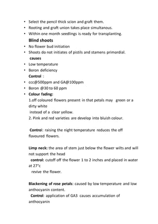 • Select the pencil thick scion and graft them.
• Rooting and graft union takes place simultanous.
• Within one month seedlings is ready for transplanting.
Blind shoots
• No flower bud initiation
• Shoots do not initiates of pistils and stamens primordial.
causes
• Low temperature
• Boron deficiency
Control :
• ccc@500ppm and GA@100ppm
• Boron @30 to 60 ppm
• Colour fading:
1.off coloured flowers present in that petals may green or a
dirty white
instead of a clear yellow.
2. Pink and red varieties are develop into bluish colour.
Control: raising the night temperature reduces the off
flavoured flowers.
Limp neck: the area of stem just below the flower wilts and will
not support the head
control: cutoff off the flower 1 to 2 inches and placed in water
at 27°c
revive the flower.
Blackening of rose petals: caused by low temperature and low
anthocyanin content.
Control: application of GA3 causes accumulation of
anthocyanin
 