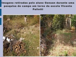Imagens retiradas pelo aluno Genuan durante uma pesquisa de campo em torno da escola Vicente Pallotti 
