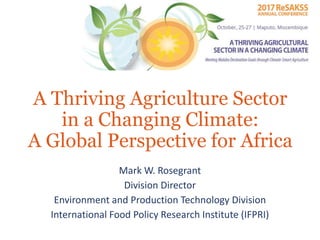 A Thriving Agriculture Sector
in a Changing Climate:
A Global Perspective for Africa
Mark W. Rosegrant
Division Director
Environment and Production Technology Division
International Food Policy Research Institute (IFPRI)
 