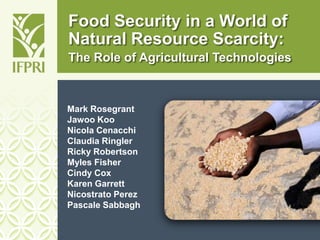 Food Security in a World of
Natural Resource Scarcity:
The Role of Agricultural Technologies
Mark Rosegrant
Jawoo Koo
Nicola Cenacchi
Claudia Ringler
Ricky Robertson
Myles Fisher
Cindy Cox
Karen Garrett
Nicostrato Perez
Pascale Sabbagh
 