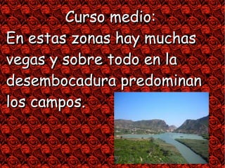 Curso medio:
En estas zonas hay muchas
vegas y sobre todo en la
desembocadura predominan
los campos.
 