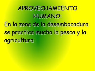 APROVECHAMIENTO
           HUMANO:
En la zona de la desembocadura
se practica mucho la pesca y la
agricultura
 