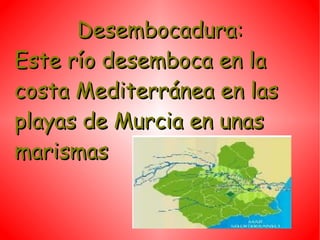 Desembocadura:
Este río desemboca en la
costa Mediterránea en las
playas de Murcia en unas
marismas
 