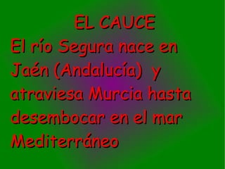 EL CAUCE
El río Segura nace en
Jaén (Andalucía) y
atraviesa Murcia hasta
desembocar en el mar
Mediterráneo
 