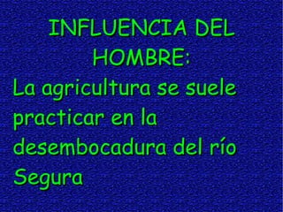 INFLUENCIA DEL
        HOMBRE:
La agricultura se suele
practicar en la
desembocadura del río
Segura
 