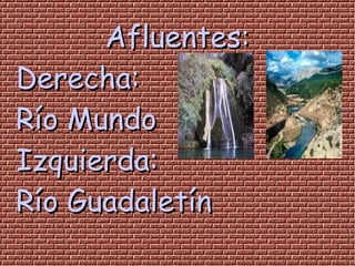 Afluentes:
Derecha:
Río Mundo
Izquierda:
Río Guadaletín
 