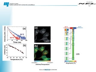 Nanoscale Properties of Biocompatible materials | PPT