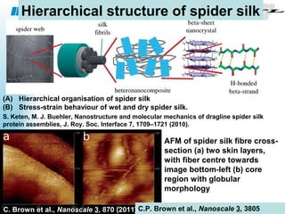 Nanoscale Properties of Biocompatible materials | PPT