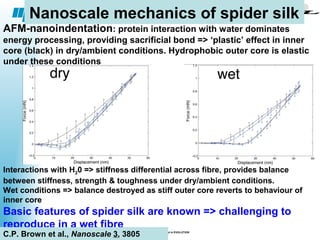 Nanoscale Properties of Biocompatible materials | PPT