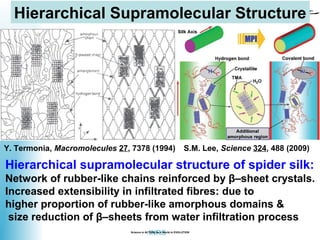 Nanoscale Properties of Biocompatible materials | PPT