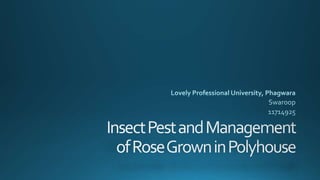 Rose(insect management in polyhouse)