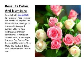 Rose: Its Colors
And Numbers:
Rose Is God’s Special Gift
To Humans. These Flowers
Are Perfect To Express The
Most Inhibited Feelings. A
Universally Accepted
Symbol Of Love, Rose
Portrays Many Other
Sentiments. A Particular
Colored Rose, In The Right
Number, Can Convey The
Deepest Of Emotions. They
Make The Perfect Gift For
That Special Person In Your
Life.

 