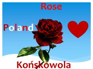 Rose
Poland
Końskowola
 