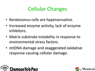 Cellular Changes
• Keratoconus cells are hypersensative.
• Increased enzyme activity, lack of enzyme
  inhibitors.
• Matrix substrate instability in response to
  environmental stress factors.
• mtDNA damage and exaggerated oxidative
  response causing cellular damage.
 