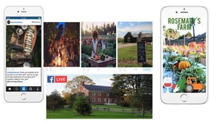 rosemarysnyc
rosemarysnyc Have you signed up to
our trip to our farm yet? Join us on our
full day adventure of our farm and
Hudson Valley’s very own
@hvwinegoddess
 