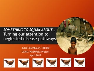 SOMETHING TO SQUAK ABOUT…
Turning our attention to
neglected disease pathways …
Julia Rosenbaum, FHI360
USAID/WASHPaLS Project
April 2017
 