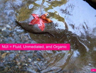 NUI = Fluid, Unmediated, and Organic




                                       134
 