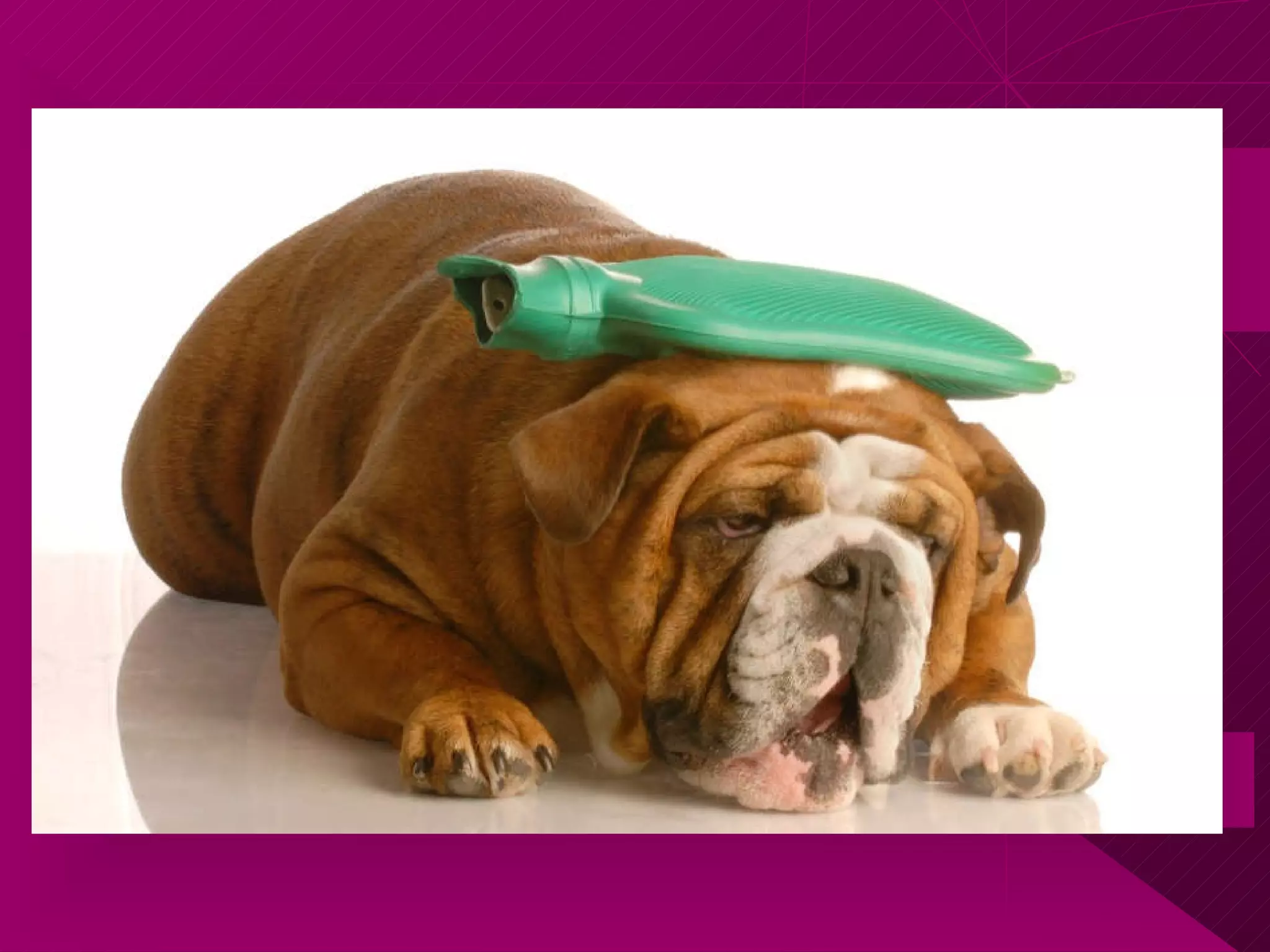 So, equipoise… about what? 