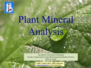 Plant Mineral
  Analysis

                The Hebrew University of Jerusalem
  Faculty of Agricultural, Food and Environmental Quality Sciences
                            Rehovot, Israel

              Vasiliy V. Rosen, M.Sc., ZBM Laboratory
              icpaes@gmail.com, www.rosen.r8.org                     1
 