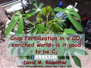 Crop Fertilization in a CO2
enriched world: is it good
        to be C3
       David M. Rosenthal
  CCAFS Science Workshop, Cancun, Dec 1 and 2, 2010
 