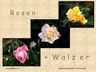 R o s e n   +  W a l z  e r  [email_address] Musik:Schostakowitsch >Second Waltz 