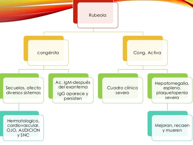Roseola Rubeola