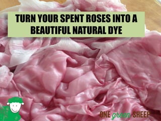 TURN YOUR SPENT ROSES INTO A
BEAUTIFUL NATURAL DYE
 