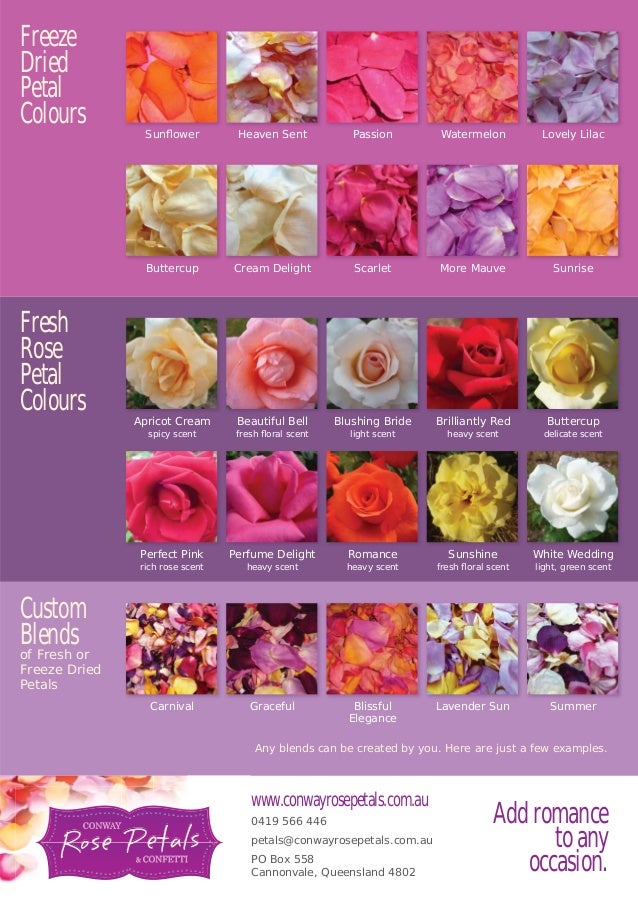 Conway Rose Petals Catalogue
