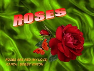 ROSES  ROSES ARE RED (MY LOVE) CANTA : BOBBY VINTON 