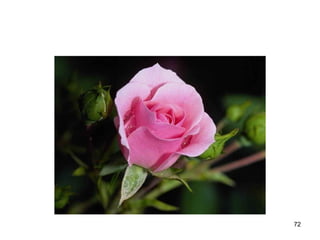 72
 
