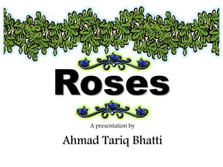 Roses
     A presentation by

Ahmad Tariq Bhatti
 