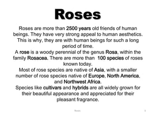 Roses | PPTX