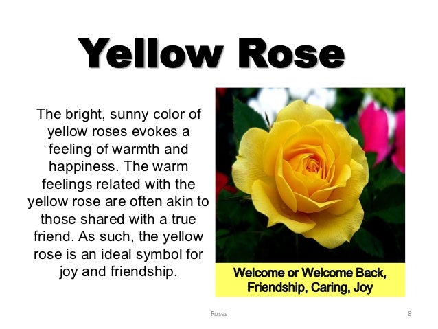 the symbolism in a rose for the symbolism in a rose for