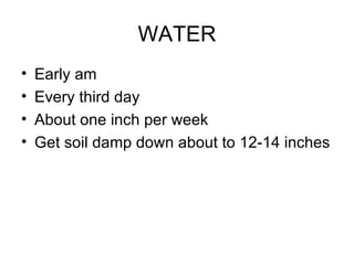 WATER Early am Every third day About one inch per week Get soil damp down about to 12-14 inches 