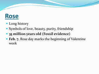 Rose Cultivation Ppt Rose Cultivation Ppt