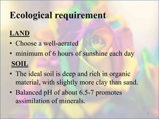 Ecological requirement
LAND
• Choose a well-aerated
• minimum of 6 hours of sunshine each day
SOIL
• The ideal soil is deep and rich in organic
material, with slightly more clay than sand.
• Balanced pH of about 6.5-7 promotes
assimilation of minerals.
13
 
