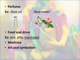 • Perfume
Ex: Rose oil Rose water
• Food and drink
Ex: jam, jelly, marmalad
• Medicine
• Art and symbolism
19
 