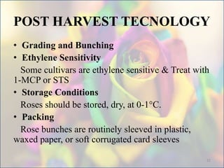 POST HARVEST TECNOLOGY
• Grading and Bunching
• Ethylene Sensitivity
Some cultivars are ethylene sensitive & Treat with
1-MCP or STS
• Storage Conditions
Roses should be stored, dry, at 0-1°C.
• Packing
Rose bunches are routinely sleeved in plastic,
waxed paper, or soft corrugated card sleeves
22
 
