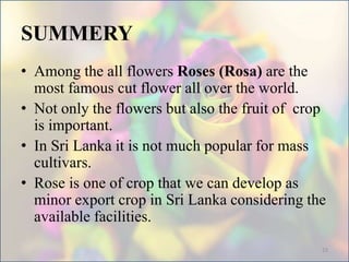 SUMMERY
• Among the all flowers Roses (Rosa) are the
most famous cut flower all over the world.
• Not only the flowers but also the fruit of crop
is important.
• In Sri Lanka it is not much popular for mass
cultivars.
• Rose is one of crop that we can develop as
minor export crop in Sri Lanka considering the
available facilities.
23
 