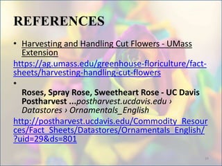 REFERENCES
• Harvesting and Handling Cut Flowers - UMass
Extension
https://ag.umass.edu/greenhouse-floriculture/fact-
sheets/harvesting-handling-cut-flowers
•
Roses, Spray Rose, Sweetheart Rose - UC Davis
Postharvest ...postharvest.ucdavis.edu ›
Datastores › Ornamentals_English
http://postharvest.ucdavis.edu/Commodity_Resour
ces/Fact_Sheets/Datastores/Ornamentals_English/
?uid=29&ds=801
24
 