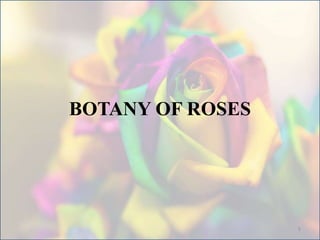 BOTANY OF ROSES
5
 