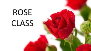 ROSE
CLASS
 