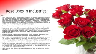 Rose Uses in Industries
Food
• Many roses can be used in food products. The petals can be made into candied rose petals
and also used as flavoring, or to add more scent to the food. The flower buds and petals
can also be used to make herbal teas, or flavor ordinary tea. In France, there is a popular
syrup made from the extract of rose petals. Rose syrup is also popular in the United States,
being used for marshmallows and scones. In India, there is rose flavored ice cream and a
popular concentrated rose squash. Rose hips are also used for food products. They can be
used in jams and jellies, soups, teas, syrup, bread, and pies.
Bath and Body Products
• Roses can be used in many different products and industries. The flowers can be used for
bath and body products, candles, soaps, hair care, skin care, and for many medicinal
purposes. For candle making, rose petals make a beautiful natural decoration. For soaping,
they also make beautiful natural decorations, as well as being an actual ingredient that is a
great skin softener.
• Common products that include roses are creams, lotions, ointments, eye pillows, facial
masks, massage oils, shampoos and conditioners, and natural bath teas.
• Skin care has many benefits from roses as well. Rose oil helps to soften the skin, treat acne,
and moisturize and hydrate dry skin. It also has antibacterial properties. The oil fights
inflammation, treat skin diseases like dermatitis and psoriasis, helps to restore skin texture,
regenerates cells, and it has also been used to change skin pigmentation.
• For hair care, rose water helps to add shine to the hair. Besides its antibacterial properties,
it also has antiseptic properties which help to reduce scalp inflammation and dandruff. It
also promotes hair growth, improves blood circulation in the scalp, and prevents hair loss.
It can also be used as a natural hair spray.
• Many bath and body products use roses to heighten and bring in a better scent, like for
perfumes.
 