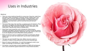 Uses in Industries
Medicinal
• There are many medicinal benefits to using roses. Rose tea, made from
the petals, treats constipation, vomiting, nausea, swollen eyes, sore
throats, colds, insomnia, digestive ailments, eating disorders, sinus
congestion, stress and even reduced libido. In traditional Chinese
medicine, roses have been used to treat diarrhea and stomach
problems.
• The fruit of the roses, the rose hips, is a great source of vitamin C. They
can help to strengthen the body and fight off infections, treat high
blood pressure, high cholesterol, diabetes, fevers, chest pains, and
many more. They are also used as a kidney tonic.
• Roses have many properties such as being anti-inflammatory,
antiseptic, astringent, and anti-bacterial. It is used to purify the system,
promote feelings of well-being, regenerate skin cells, and it is also used
as an anti-depressant and to help with anxiety problems.
• Roses can also be used as a sedative and helps to avoid panic attacks.
Herpes sores can even be treated with rose oil when combined with
Melissa oil.
• The eyes can even benefit from roses. When rose oil is used in a
compress, it helps to treat puffiness and tired and inflamed eyes.
• Rose oil is also an aphrodisiac. It is said that stopping to smell a rose
helps cure feelings of resentment, anger, and grief.
• For women, rose tea helps to treat symptoms of PMS and menopause,
and is also considered a good treatment for many female disorders.
 