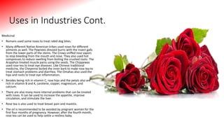 Uses in Industries Cont.
Medicinal
• Romans used some roses to treat rabid dog bites.
• Many different Native American tribes used roses for different
ailments as well. The Pawnees dressed burns with the insect galls
from the lower parts of the stems. The Crows sniffed rose vapors
to stop bleeding from the mouth and nose. They also used hot
compresses to reduce swelling from boiling the crushed roots. The
Arapahos treated muscle pains using the seeds. The Chippewas
used rose tea to treat eye diseases. Like Chinese traditional
medicine, the Cheyenne boiled the inner bark to make rose tea to
treat stomach problems and diarrhea. The Omahas also used the
hips and roots to treat eye inflammation.
• Besides being rich in vitamin C, rose hips and the petals also are
rich in vitamin B and K, carotene, copper, magnesium, and
calcium.
• There are also many more internal problems that can be treated
with roses. It can be used to increase the appetite, improve
circulation, and stimulate the liver.
• Rose tea is also used to treat breast pain and mastitis.
• The oil is recommended to be avoided by pregnant women for the
first four months of pregnancy. However, after the fourth month,
rose tea can be used to help settle a restless baby.
 