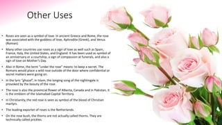 Other Uses
• Roses are seen as a symbol of love. In ancient Greece and Rome, the rose
was associated with the goddess of love, Aphrodite (Greek), and Venus
(Roman).
• Many other countries use roses as a sign of love as well such as Spain,
France, Italy, the United States, and England. It has been used as symbol of
an anniversary or a courtship, a sign of compassion at funerals, and also a
sign of love on Mother’s Day.
• Also in Rome, the term “under the rose” means: to keep a secret. The
Romans would place a wild rose outside of the door where confidential or
secret matters were going on.
• In the lyric “ghazal”, in Islam, the longing song of the nightingale is
provoked by the beauty of the rose.
• The rose is also the provincial flower of Alberta, Canada and in Pakistan, it
is the emblem of the Islamabad Capital Territory.
• In Christianity, the red rose is seen as symbol of the blood of Christian
martyrs.
• The leading exporter of roses is the Netherlands.
• On the rose bush, the thorns are not actually called thorns. They are
technically called prickles.
 