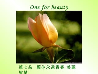One for beauty 第七朵  願你永遠青春 美麗 智慧 