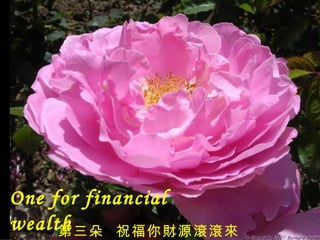 One for financial wealth 第三朵  祝福你財源滾滾來   