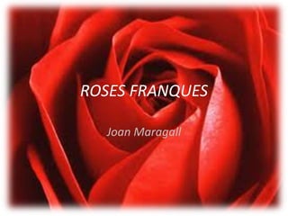 ROSES FRANQUES

  Joan Maragall
 